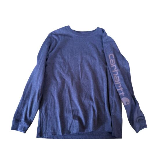 Carhartt women’s loose fit heavyweight long sleeve graphic t-shirt in purple - Picture 1 of 4